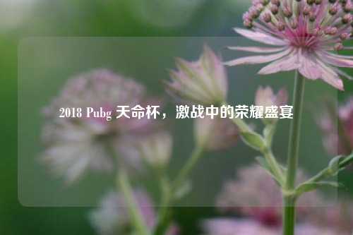 2018 Pubg 天命杯,激战中的荣耀盛宴