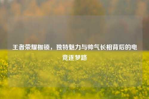 王者荣耀枷锁,独特魅力与帅气长相背后的电竞逐梦路