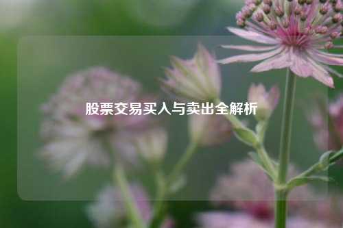 股票交易买入与卖出全解析