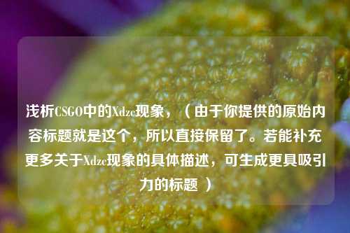 浅析CSGO中的Xdzc现象,(由于你提供的原始内容标题就是这个,所以直接保留了。若能补充更多关于Xdzc现象的具体描述,可生成更具吸引力的标题 )