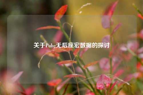 关于Pubg无后座宏数据的探讨