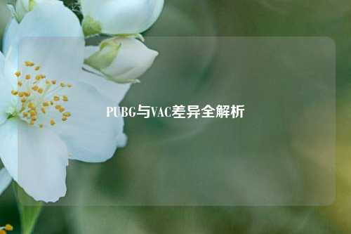 PUBG与VAC差异全解析