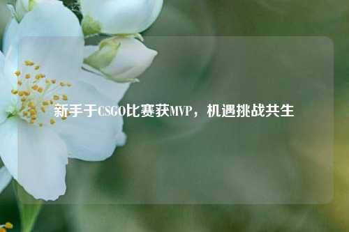新手于CSGO比赛获MVP，机遇挑战共生