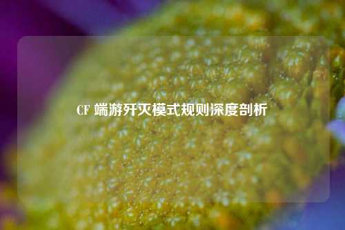 CF 端游歼灭模式规则深度剖析
