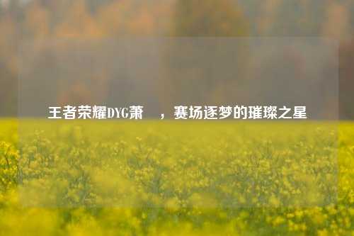 王者荣耀DYG萧玦，赛场逐梦的璀璨之星