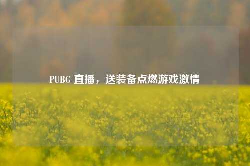 PUBG 直播，送装备点燃游戏激情