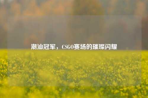 潮汕冠军,CSGO赛场的璀璨闪耀