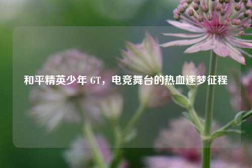 和平精英少年 GT，电竞舞台的热血逐梦征程