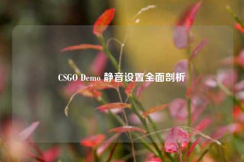 CSGO Demo 静音设置全面剖析