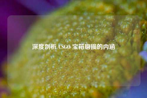 深度剖析 CSGO 宝箱磨损的内涵