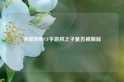 深度剖析CF手游风之子是否被削弱
