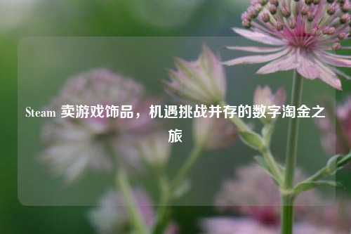 Steam 卖游戏饰品，机遇挑战并存的数字淘金之旅
