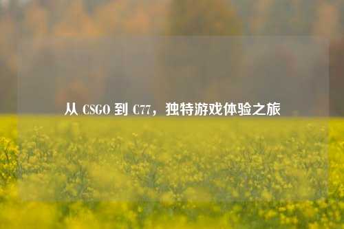 从 CSGO 到 C77,独特游戏体验之旅