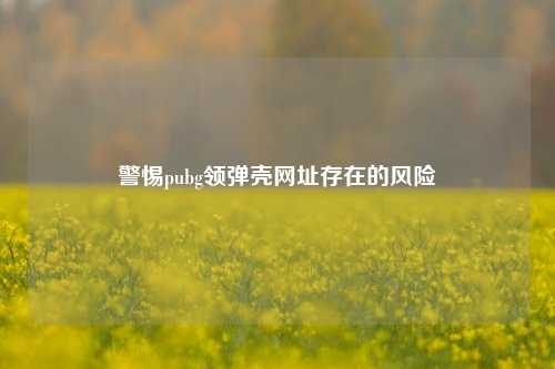 警惕pubg领弹壳网址存在的风险