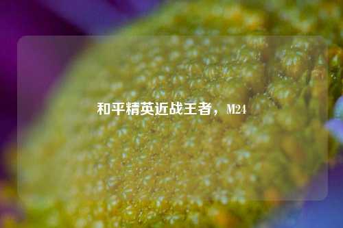 和平精英近战王者,M24