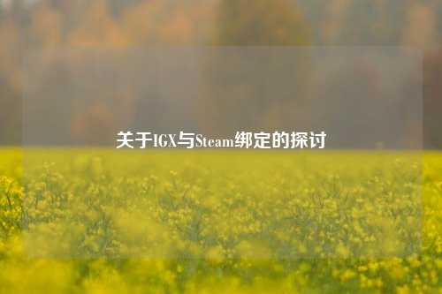 关于IGX与Steam绑定的探讨
