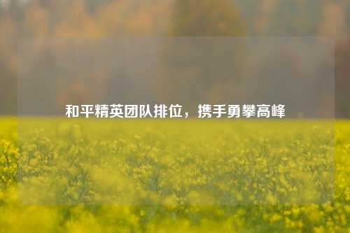 和平精英团队排位,携手勇攀高峰
