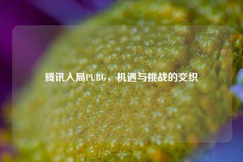 腾讯入局PUBG，机遇与挑战的交织