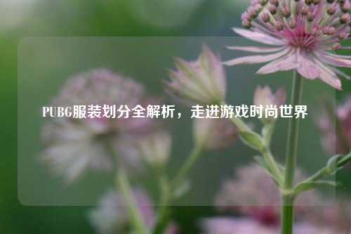 PUBG服装划分全解析，走进游戏时尚世界