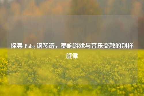 探寻 Pubg 钢琴谱,奏响游戏与音乐交融的别样旋律