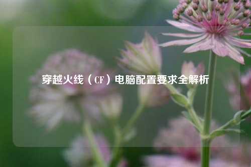 穿越火线（CF）电脑配置要求全解析