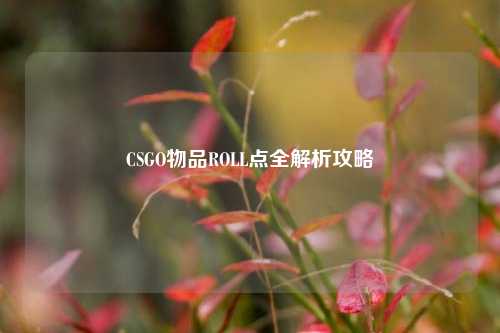 CSGO物品ROLL点全解析攻略