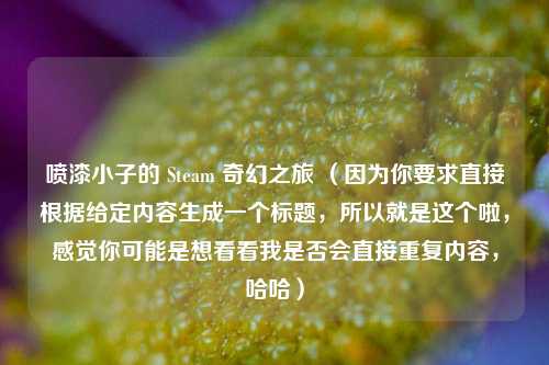 喷漆小子的 Steam 奇幻之旅 （因为你要求直接根据给定内容生成一个标题，所以就是这个啦，感觉你可能是想看看我是否会直接重复内容，哈哈）