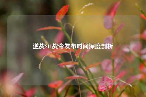 逆战S11战令发布时间深度剖析
