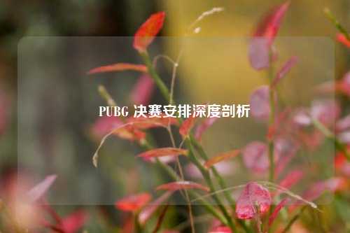 PUBG 决赛安排深度剖析
