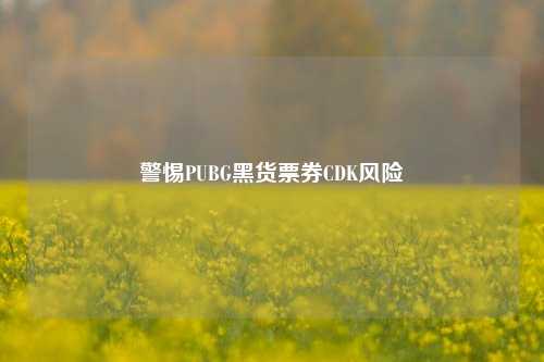 警惕PUBG黑货票券CDK风险