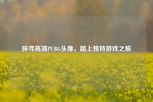 探寻高清PUBG头像，踏上独特游戏之旅