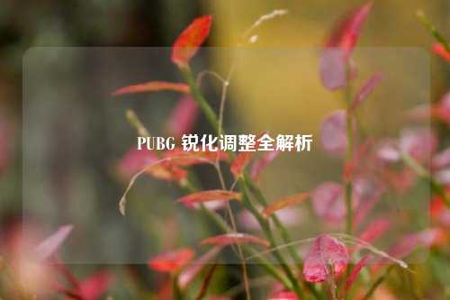 PUBG 锐化调整全解析