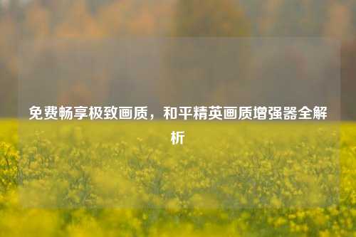 免费畅享极致画质,和平精英画质增强器全解析