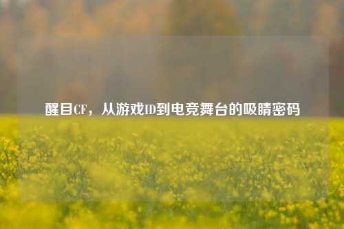 醒目CF,从游戏ID到电竞舞台的吸睛密码
