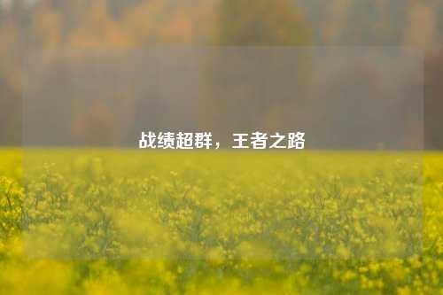 战绩超群，王者之路