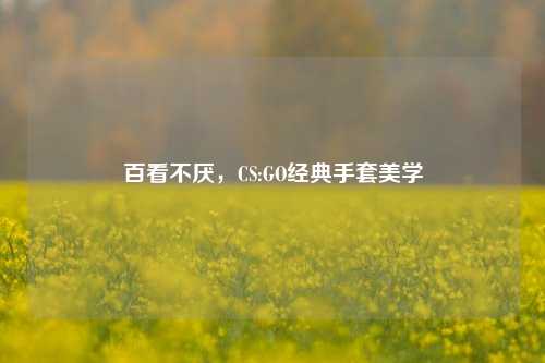 百看不厌，CS:GO经典手套美学