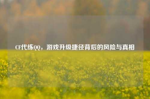 CF代练QQ，游戏升级捷径背后的风险与真相