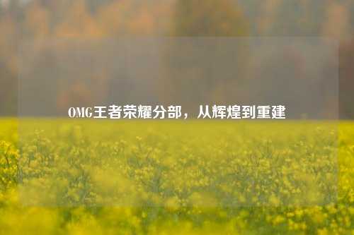OMG王者荣耀分部，从辉煌到重建