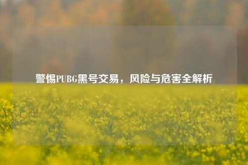 警惕PUBG黑号交易，风险与危害全解析