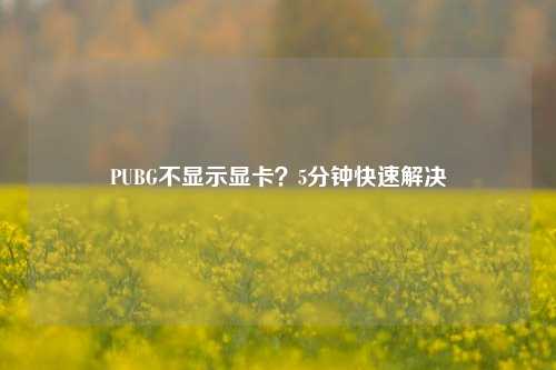 PUBG不显示显卡？5分钟快速解决