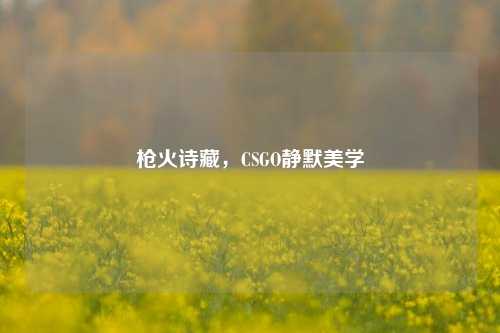 枪火诗藏，CSGO静默美学