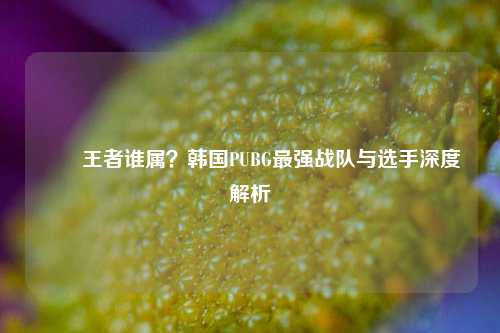 배그王者谁属？韩国PUBG最强战队与选手深度解析