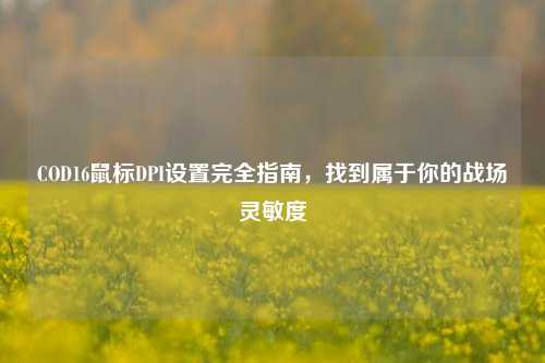 COD16鼠标DPI设置完全指南,找到属于你的战场灵敏度
