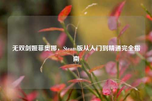 无双剑姬菲奥娜，Steam版从入门到精通完全指南