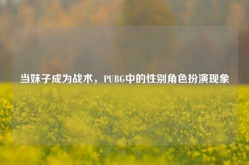 当妹子成为战术,PUBG中的性别角色扮演现象