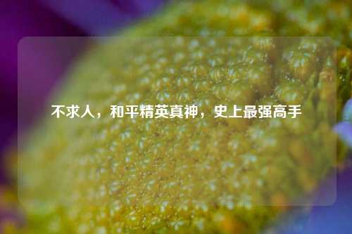不求人，和平精英真神，史上最强高手