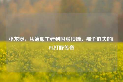 小龙堡,从韩服王者到国服顶端,那个消失的LPL打野传奇
