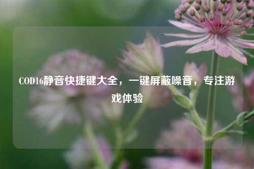 COD16静音快捷键大全，一键屏蔽噪音，专注游戏体验