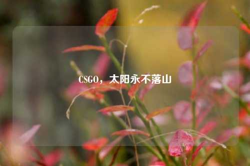 CSGO，太阳永不落山