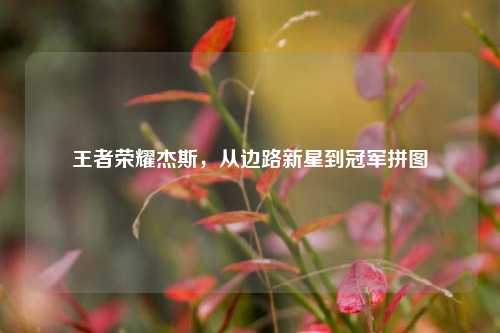 王者荣耀杰斯，从边路新星到冠军拼图